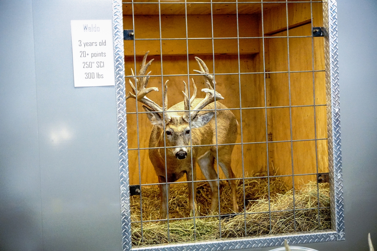 Backwoods Hunting & Fishing Expo