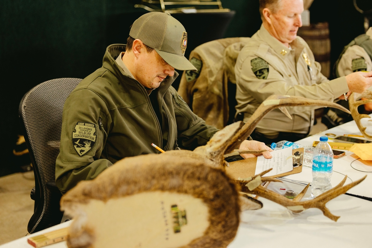 Deer Scoring
