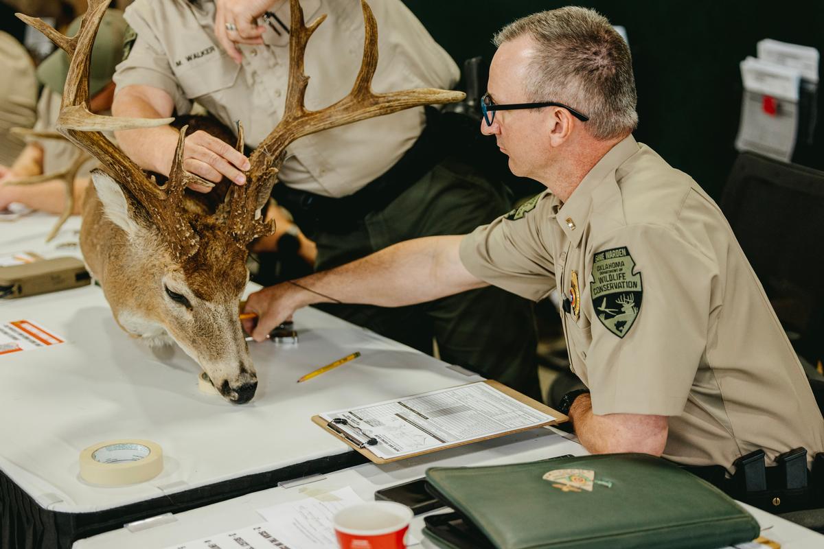 Deer Scoring 
