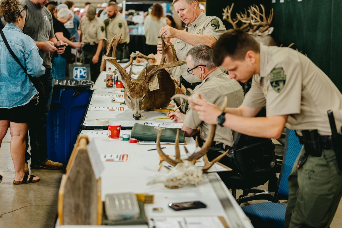 Deer Scoring