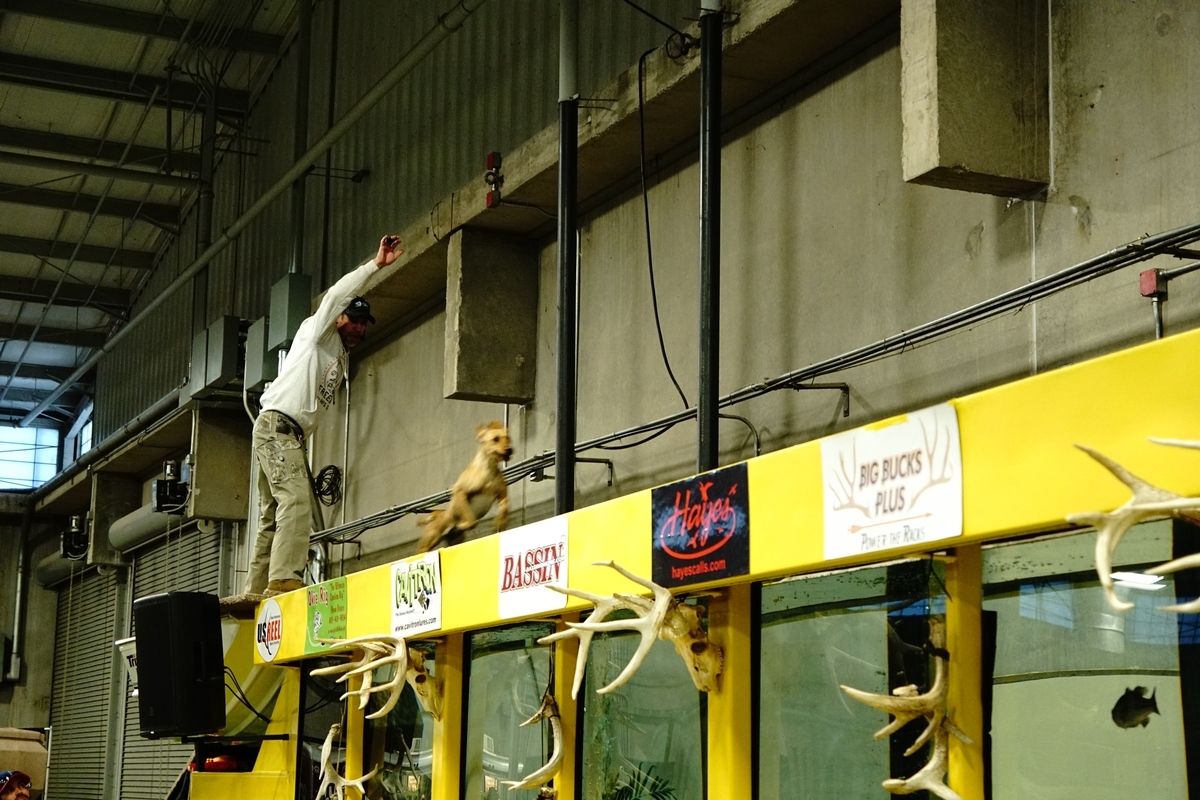 High Flying Retrievers