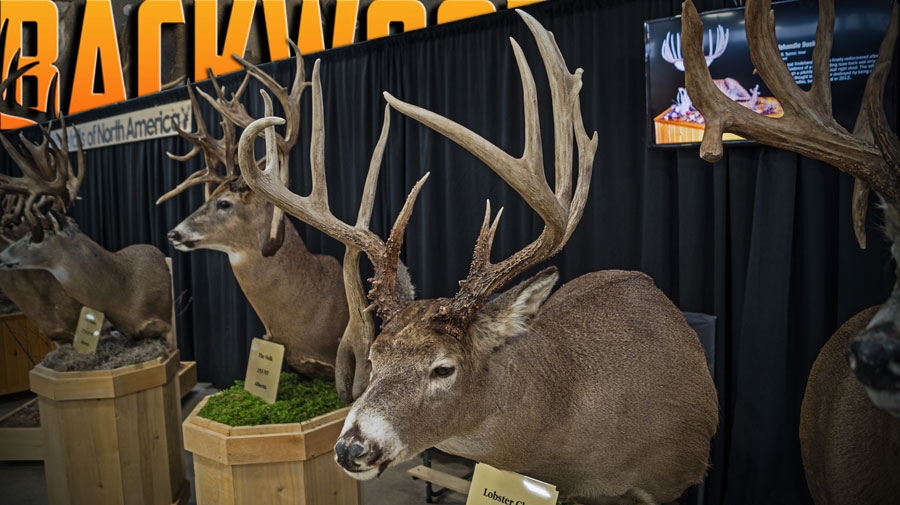Backwoods Hunting & Fishing Expo